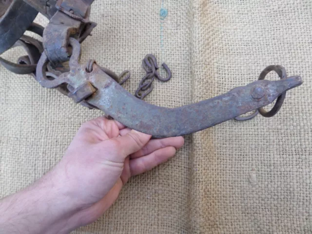 Antique Ottoman Empire Wrought Iron Horse Harness Bit Blacksmith Hand Forged