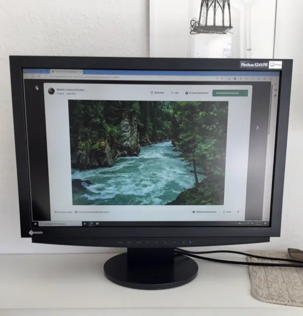 Eizo FlexScan S2410W Monitor 24 Zoll