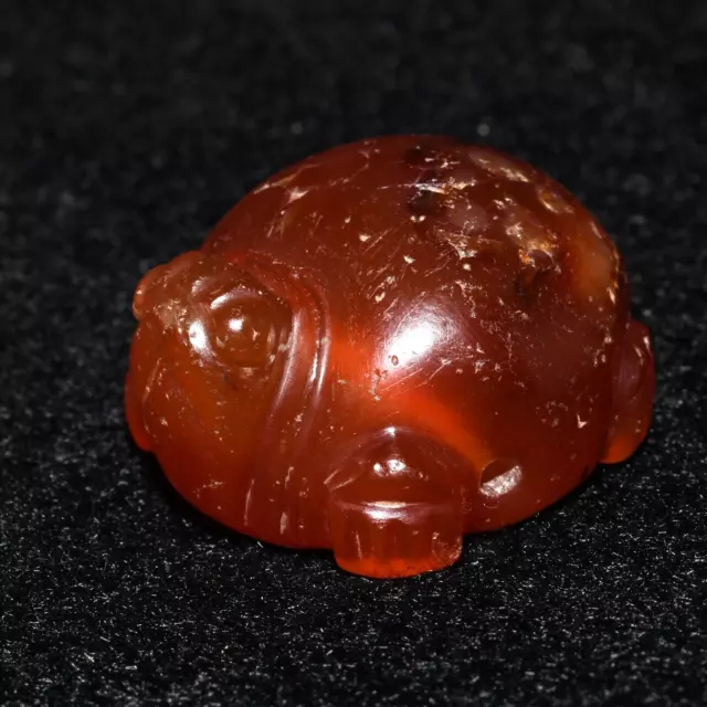 Genuine Ancient Egyptian New Kingdom Carnelian Turtle Amulet Bead 18th Dynasty