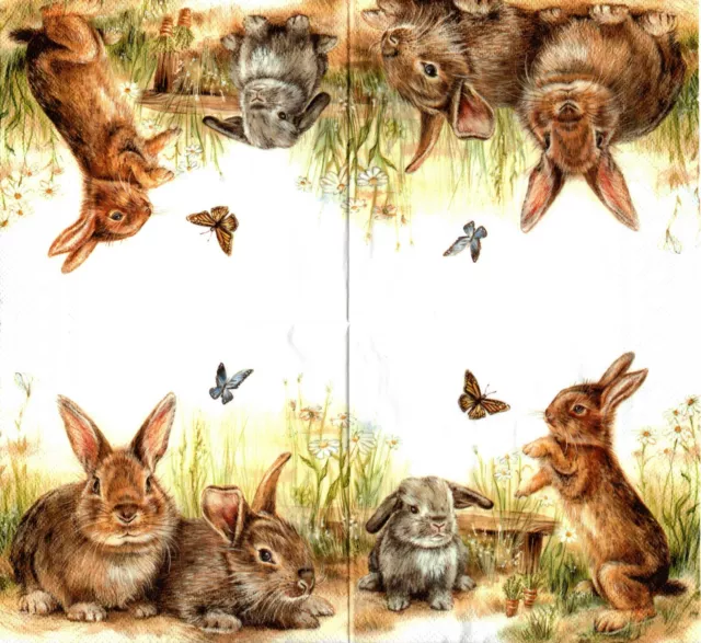 Serviettes En Papier Lapins Scene De Vie. Paper Napkins Rabbits Scene Of Life