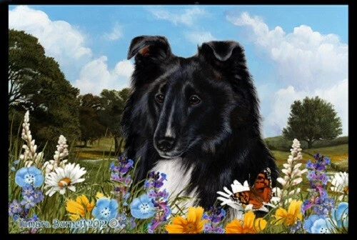 Summer Floor Mat - Black and White Shetland Sheepdog Sheltie 39228