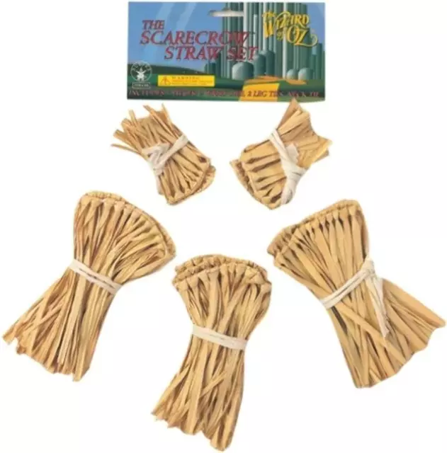 Wizard of Oz Scarecrow Straw Set