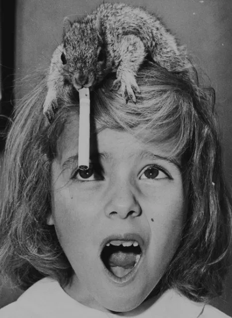 Antique Squirrel Photo 1092b Odd Strange & Bizarre