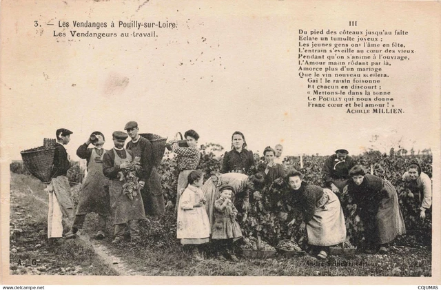 58 POUILLY SUR LOIRE _S17127_ Les Vendanges Les Vendangeurs au Travail