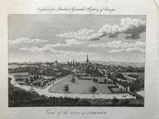 1791 Antique Print; View of Norwich, Norfolk