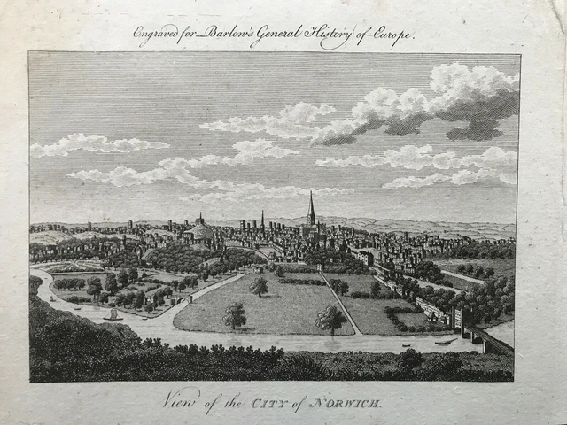 1791 antiker Druck; Blick auf Norwich, Norfolk