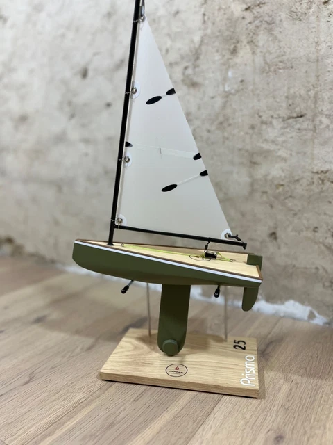 BATEAU CANOT VOILIER de bassin EUR 370,00 - FR