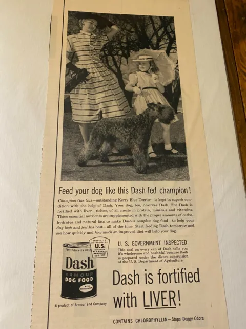 Vintage 1954 Dash Dog Food Champion Gus Gus Kerry Blue Terrier Dog ad