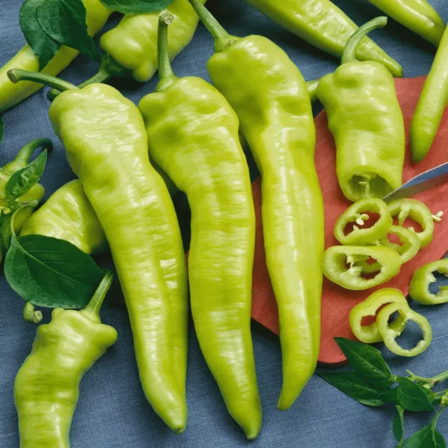 CAPSICUM Sweet Banana 6 seeds HEIRLOOM vegetable garden SPRING SUMMER PEPPER HOT