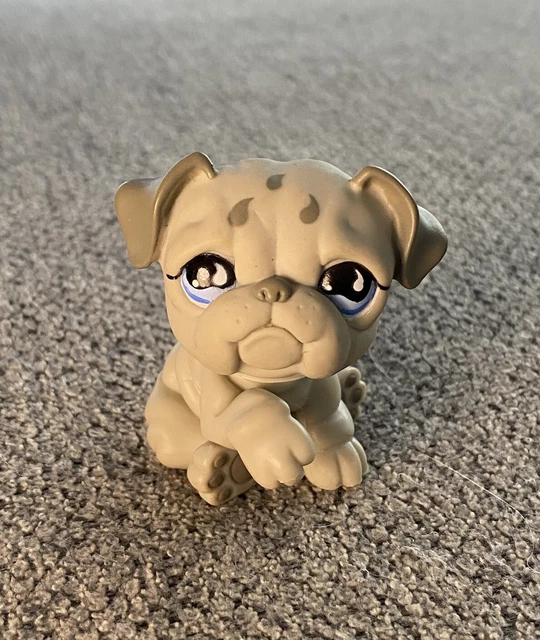 Littlest Pet Shop Sportiest Two Tone Grey Bulldog Dog Blue Eyes #508