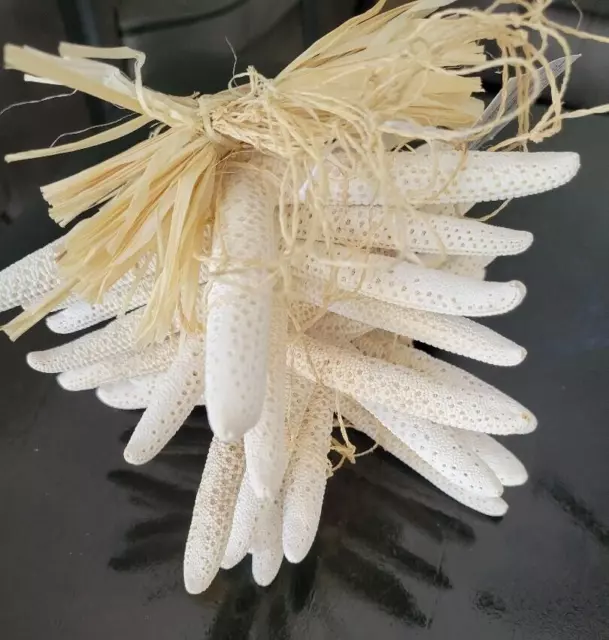 New 10 Finger Starfish  7" Beach Wedding
