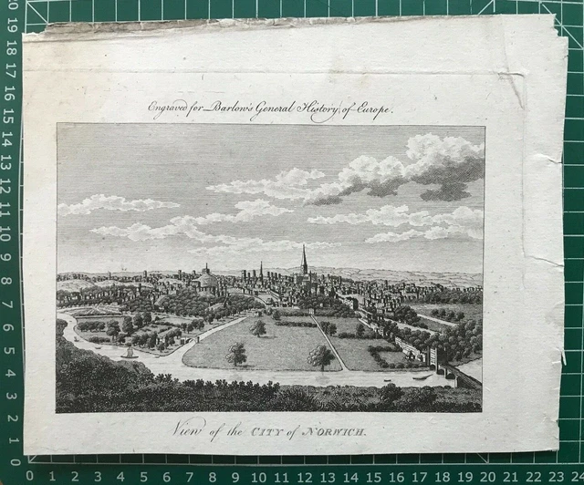 1791 antiker Druck; Blick auf Norwich, Norfolk 2