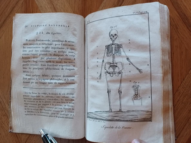 L. Moreau - Histoire naturelle de la femme - Tome 1 - 1803
