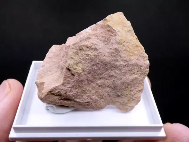 FD MINERALS: KASOLITE - Buhlskopf U - Renania-Palatinado - Germany - er281