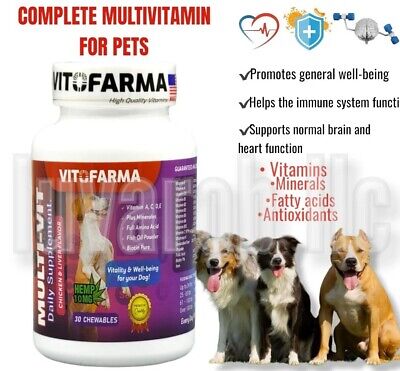 Premium Multivitamin For Dogs For Immune, Joint, Skin, Heart, & Digestive Health