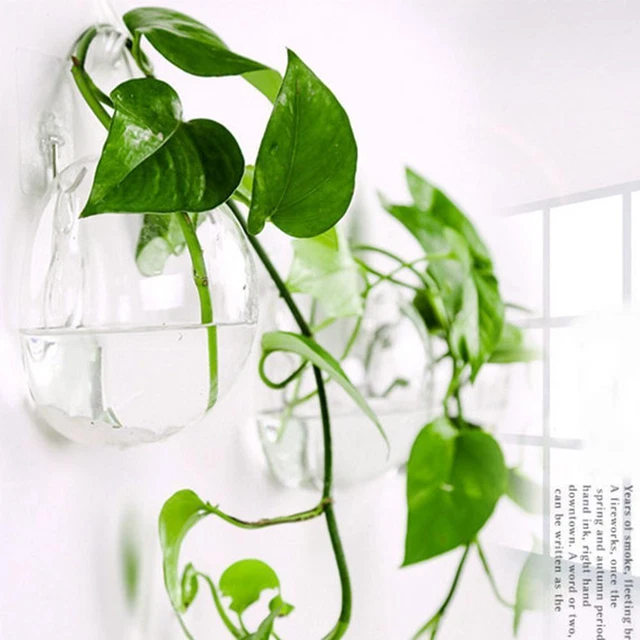 Wall Mounted Fish Tank Bowl Bubble Aquarium Hanging hot. Bet Terrarium O9O1