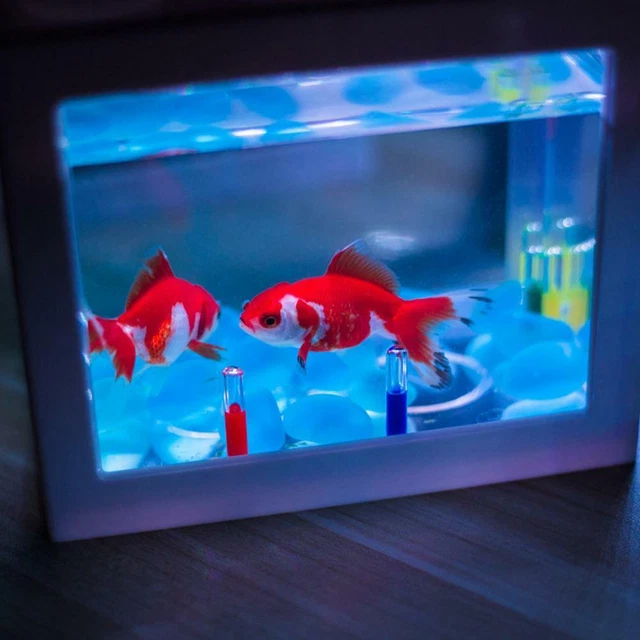 Home USB Mini Fish Tank Small Aquarium Betta Aquarium Office Desktop Decor 8