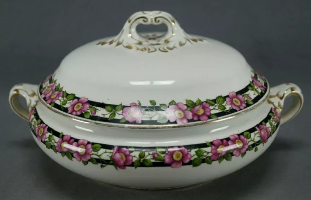 Booths England Pink Wild Roses & Gold Silicon China Covered Vegetable C. 1906 +