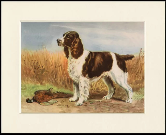 English Springer Spaniel Dog And Bird Great Dog Print Mounted Ready To Frame