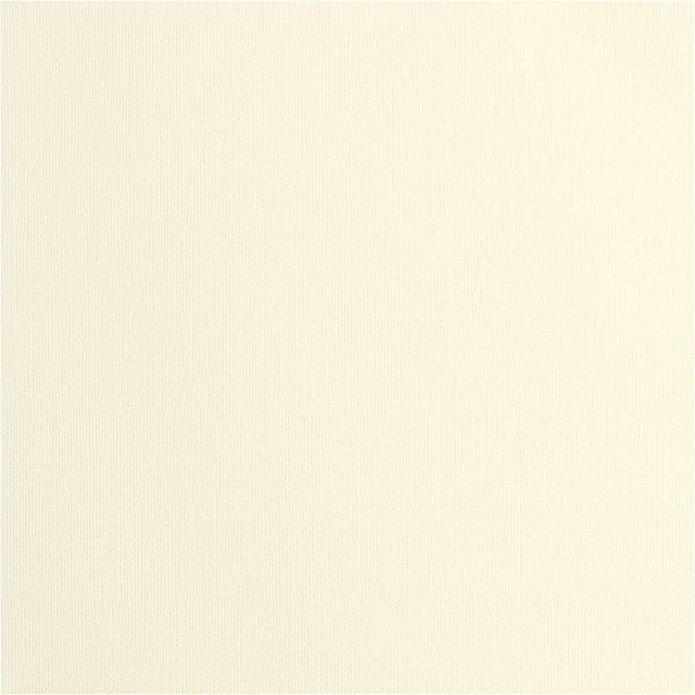 Cartoncino Florence Testurizzata - Materiali per Biglietti colorati 30,5 x 30,5 cm - Bianco - 20 Fogli - Carta colorata per Scrapbooking, Biglietti, Fustellatura e Progetti con la Carta - 216 gsm