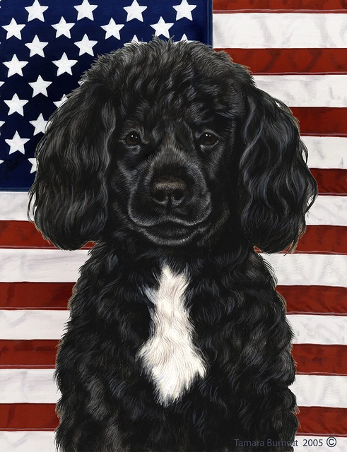 Patriotic (D2) Garden Flag - Black and White Portuguese Water Dog 324891