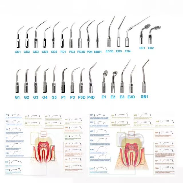 Dental Ultrasonic Scaler Scaling Endo Perio Tip fit EMS Woodpecker/DTE G P E ek