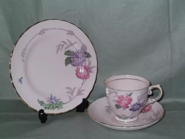 Vintage Plant Tuscan Fine Bone China Tea Trio Cup Saucer Side Plate  Patt. 9996H