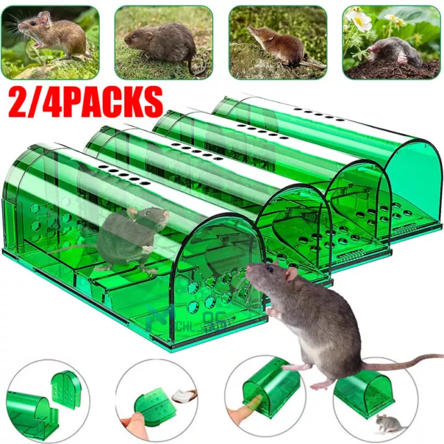 2-10 Humane Mouse Traps No Kill, Live Mouse Traps Reusable Mice Rat Trap  Catcher