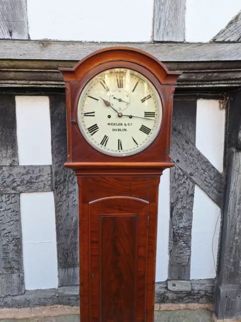 Grandfather Clock By Wekler & Co. Of Dublin. 8-Day. 2