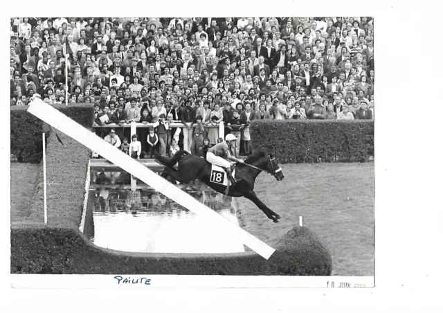 Photo Presse Hippique Paiute Cheval Champs De Course Juin 1970 Saut Riviere