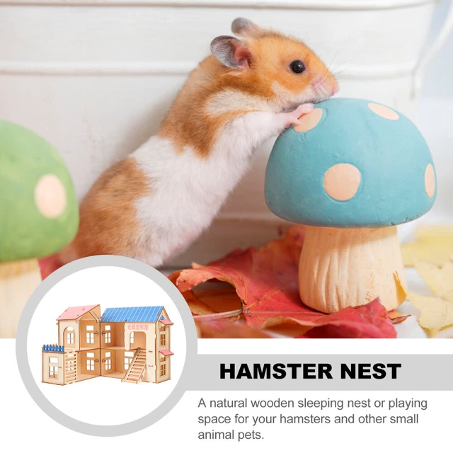 COSTUME RAGNO TARTARUGA Basculante Piattaforma Cane Grande Criceto