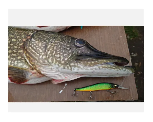 VERY RARE, VINTAGE,ORIGINAL, Abu-Hi-Lo Minnow (Sweden Pattern)-Pike Fishing  Lure £12.50 - PicClick UK