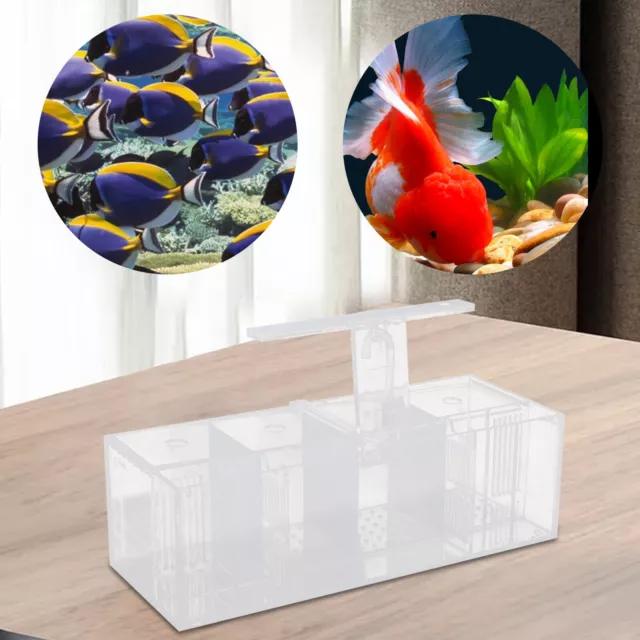 LED Light Aquarium Acrylic 4 Grids Betta Fish Tank Isolation Box with Pump US