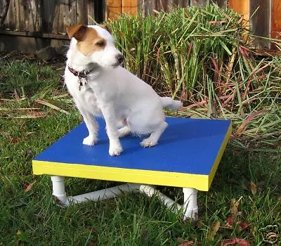 Dog Agility Equipment Mini  Pause Table