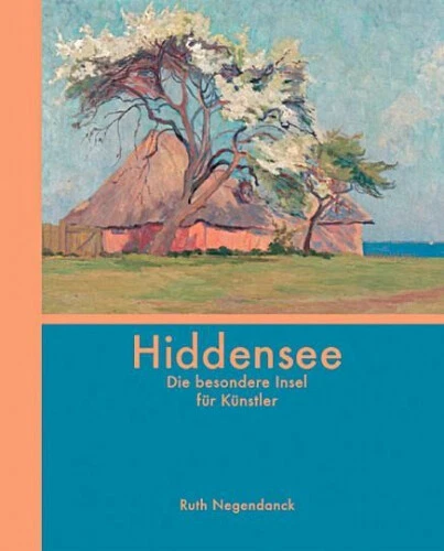 HIDDENSEERUTH NEGENDANCKGEBUNDENES BUCHDEUTSCH16 bis 99 Jahre EUR