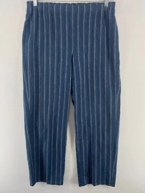 EILEEN FISHER Pants S Hemp Organic Cotton Striped Straight Ankle Pull On Blue