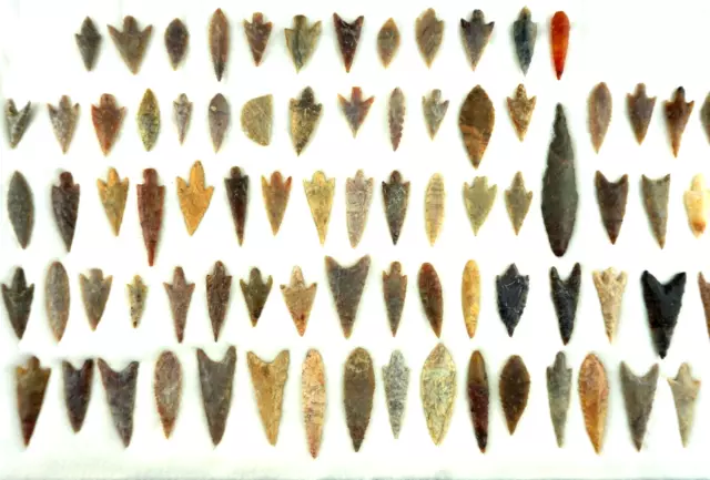 Awesome Group of High Grade Arrowheads  * Saharan Neolithic * Authentic *