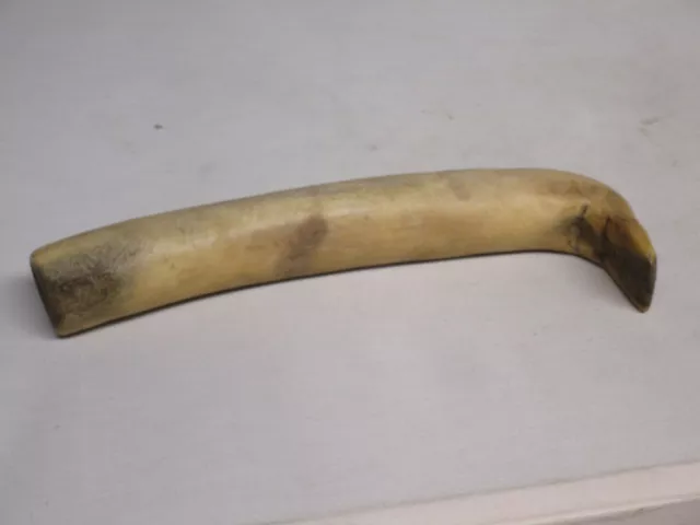 1880's Sioux Elk Horn Hide Scraper