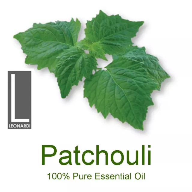 Patchouli Dark Essential Oils - 100% Pure - 10ml, 50ml, 100ml, 500ml, 1 Litre 2