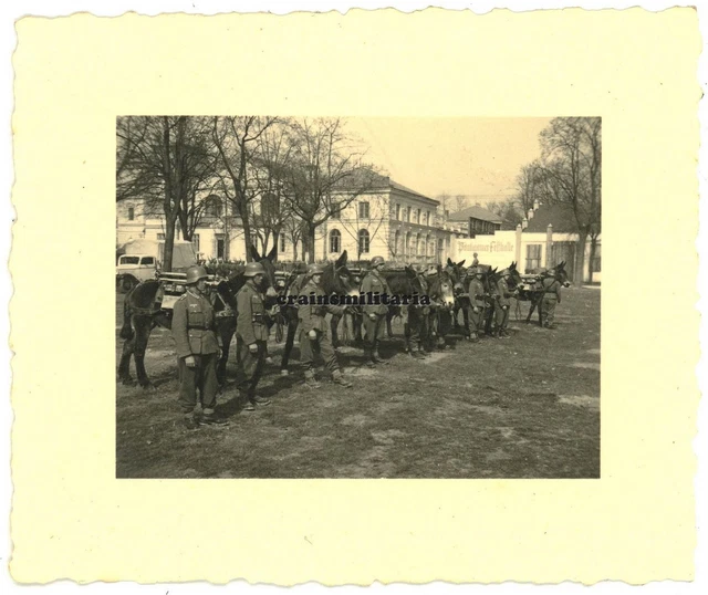 Orig. Foto Appell GJR.99 Gebirgsjager m. Esel Tragtier in SONTHOFEN Bayern