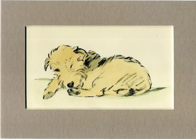 Lucy Dawson ~ Welsh Terrier ~ Hand Coloured Print Genuine Vintage 1939