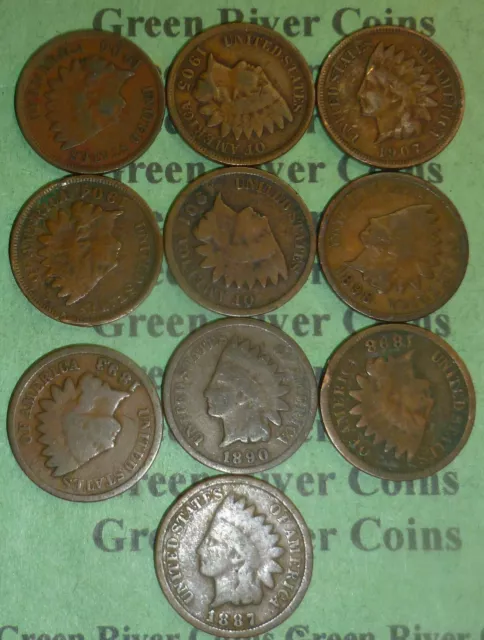 Large Collection of Indian Head Cent Penny 1859-1909 Free Shipping