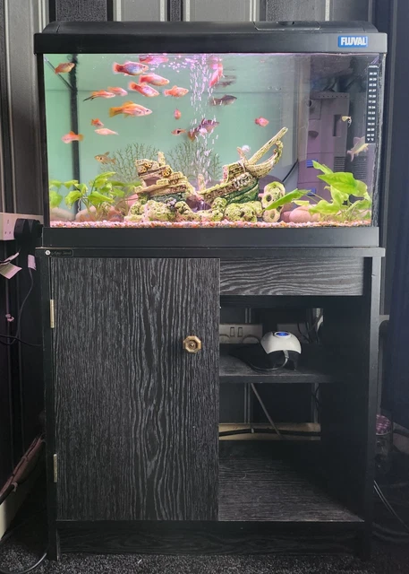 Fluval Aqua Stands Fish Tank Incl. Fish