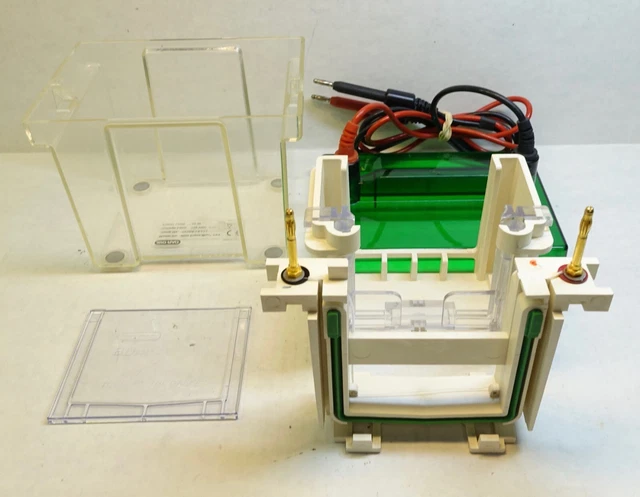 Cadre De Serrage Bio-Rad Mini PROTEAN II - Pour électrophorèse, Occasion Testé Et Fonctionnel