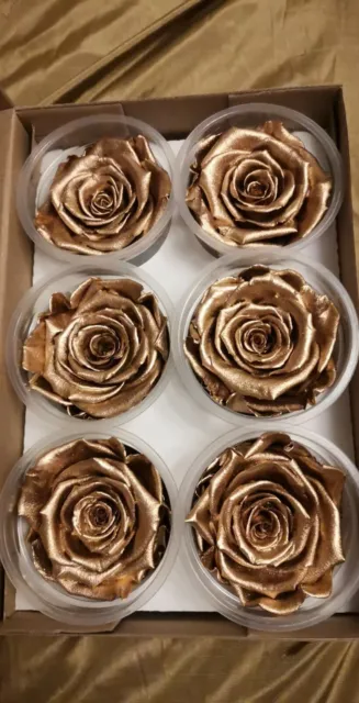 Eternity Roses Gold Rose Preserved 1-2 Year Roses 6.5 cms box of 6