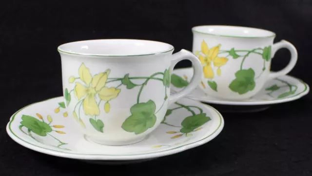 Villeroy & Boch Géranium (non Striées) 2 Plat Tasse et Soucoupe Jeux Grand État