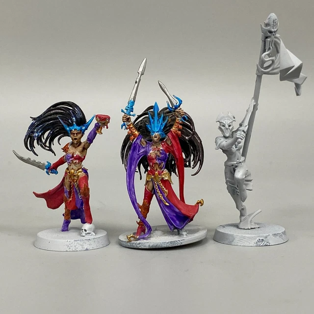 Warhammer Age Of Sigmar: Witch Aelves / Sisters Of Slaughter – Daughters Of Khaine Figuren-Set Zum Zusammenbau