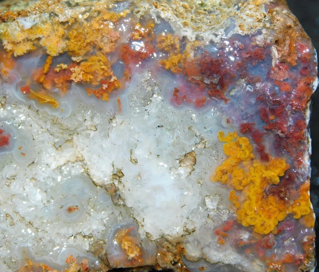 San Carlos Plume Agate lapidary cabbing rough chunk from Mexico 2 lb