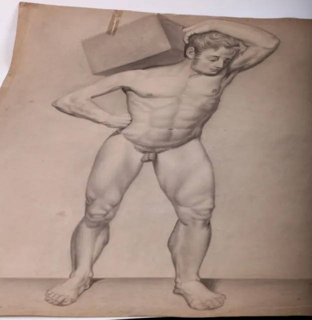 Antiguo Aktstudie Masculino Desnudo Trasera Pferde Dibujo a Mano Um 1850/1880