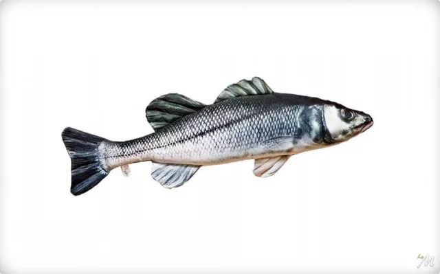 Kissen IN Form Von Seebarsch / Sea Bass Realistic Geschenkidee Fischen Angler